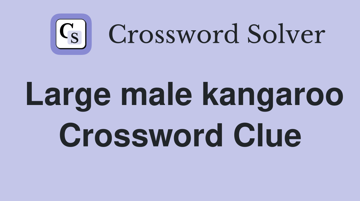 Large male kangaroo Crossword Clue