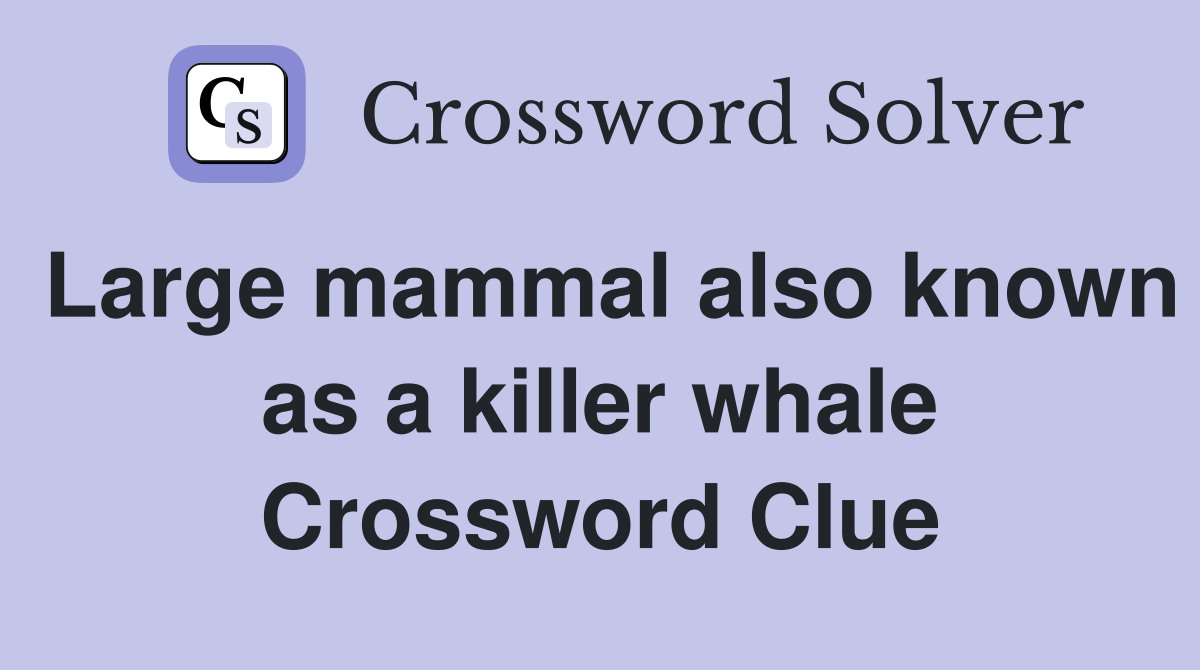 Large mammal also known as a killer whale Crossword Clue