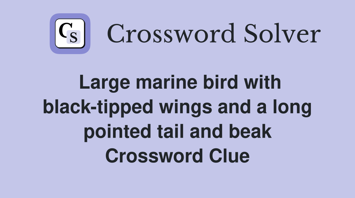 Large marine bird with black-tipped wings and a long pointed tail and beak Crossword Clue