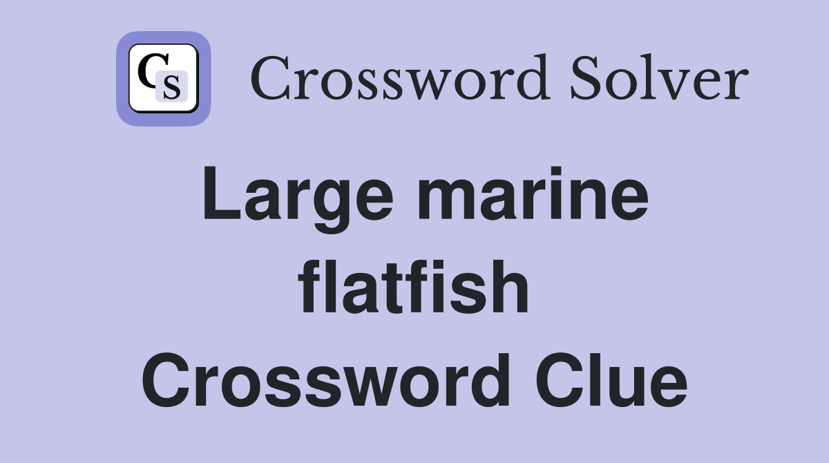 Large marine flatfish Crossword Clue
