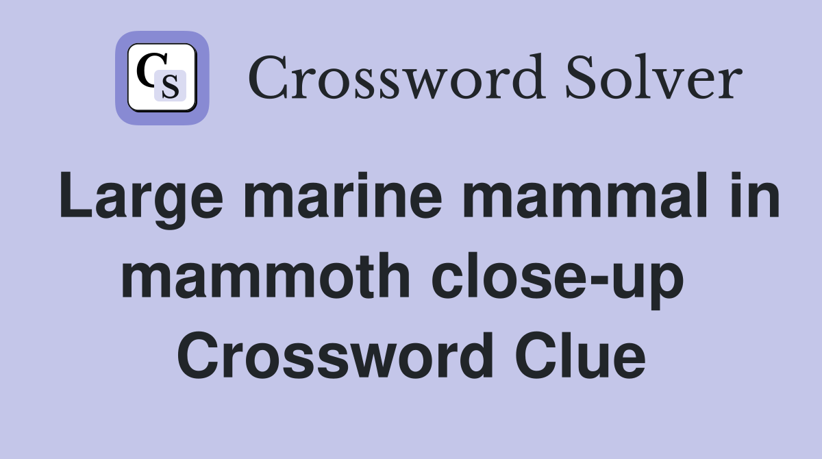 Large marine mammal in mammoth close-up  Crossword Clue