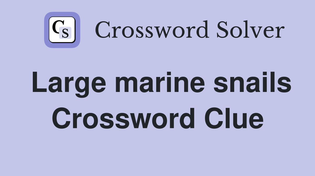 Large marine snails Crossword Clue