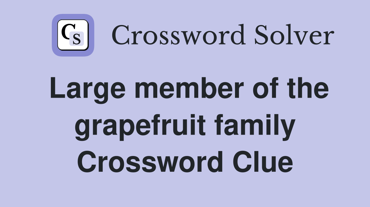Large member of the grapefruit family Crossword Clue