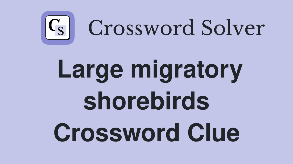 Large migratory shorebirds Crossword Clue
