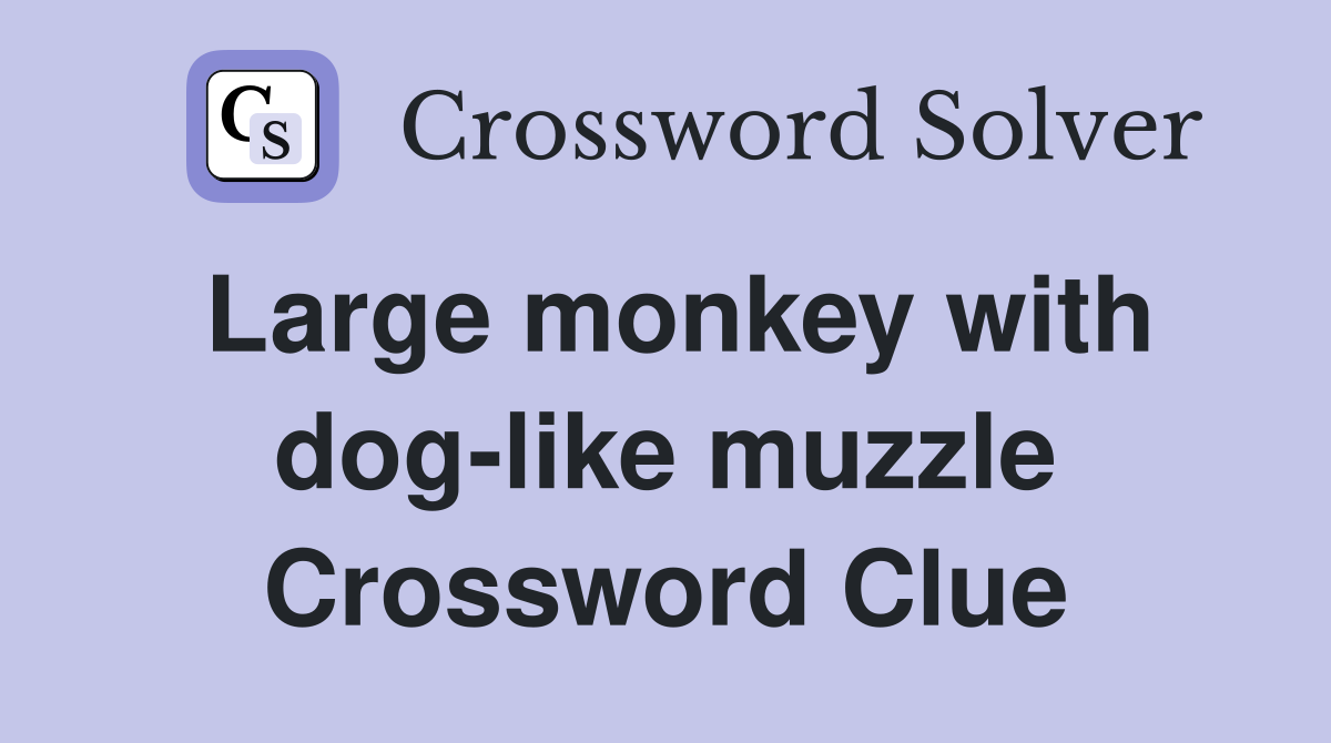 Large monkey with dog-like muzzle Crossword Clue