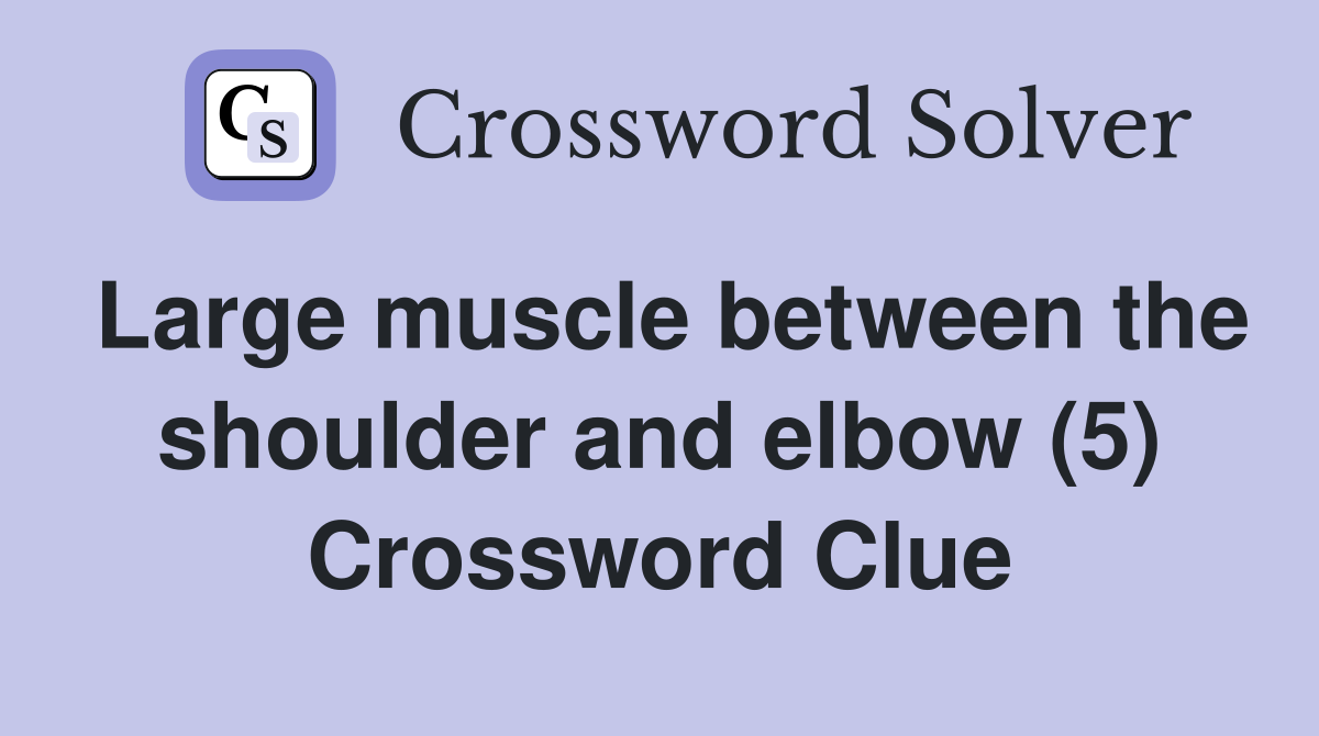 Large muscle between the shoulder and elbow (5) Crossword Clue