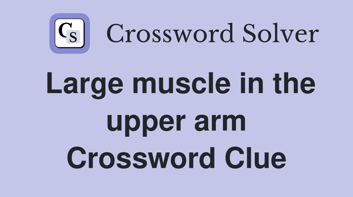 Large muscle in the upper arm Crossword Clue