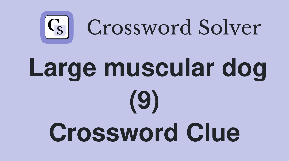 Large muscular dog (9) Crossword Clue