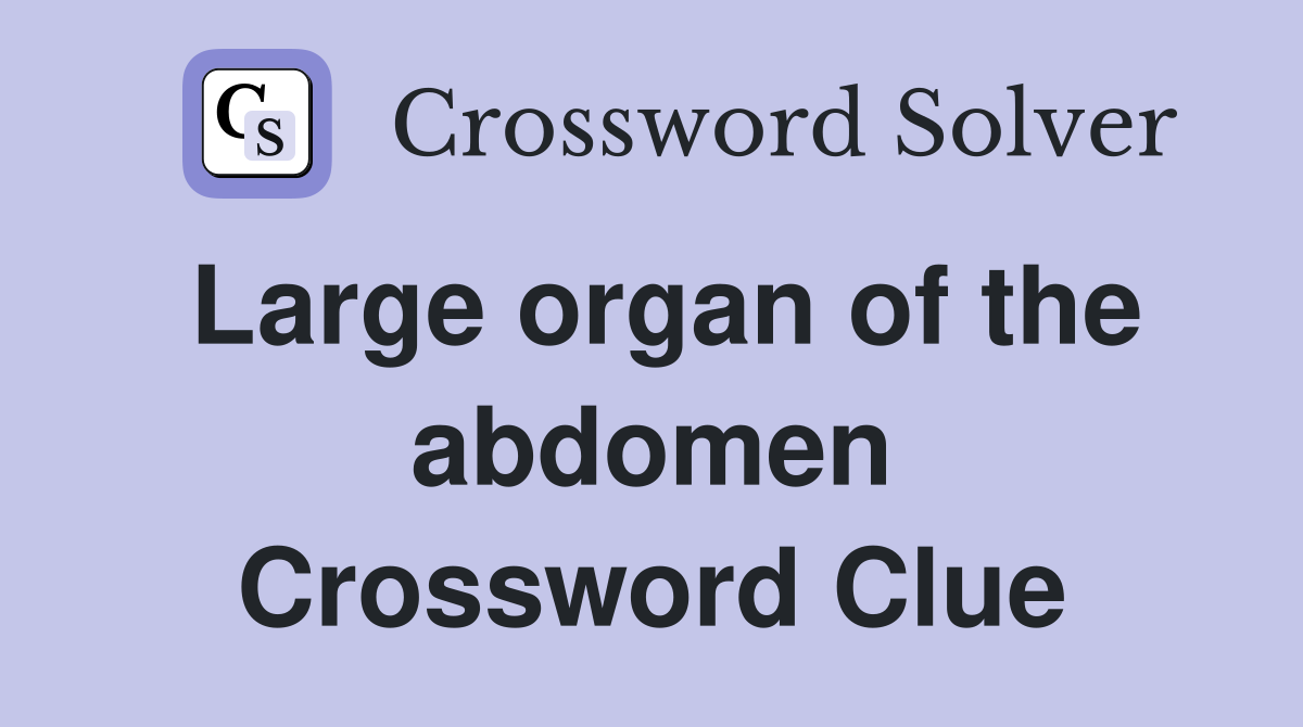 Large organ of the abdomen Crossword Clue