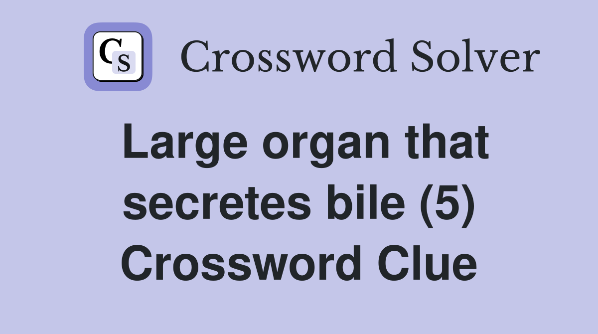 Large organ that secretes bile (5) Crossword Clue