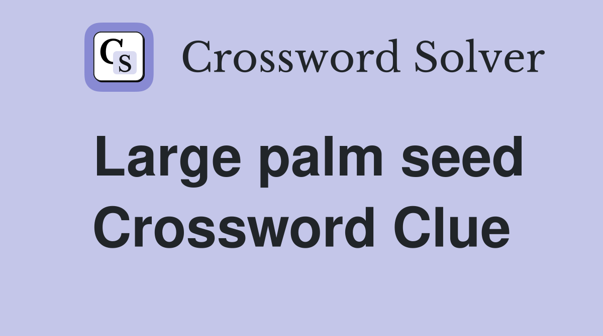 Large palm seed Crossword Clue