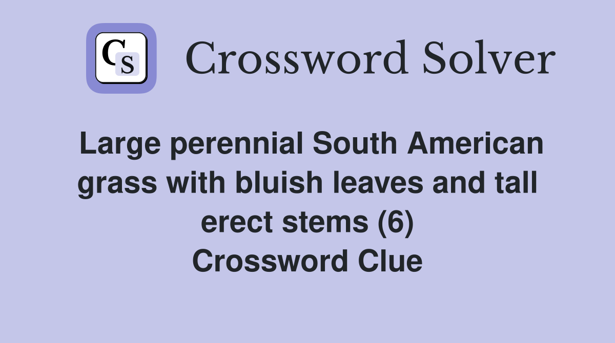Large perennial South American grass with bluish leaves and tall erect stems (6) Crossword Clue