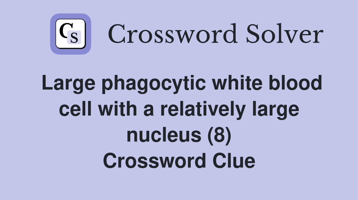 Large phagocytic white blood cell with a relatively large nucleus (8) Crossword Clue