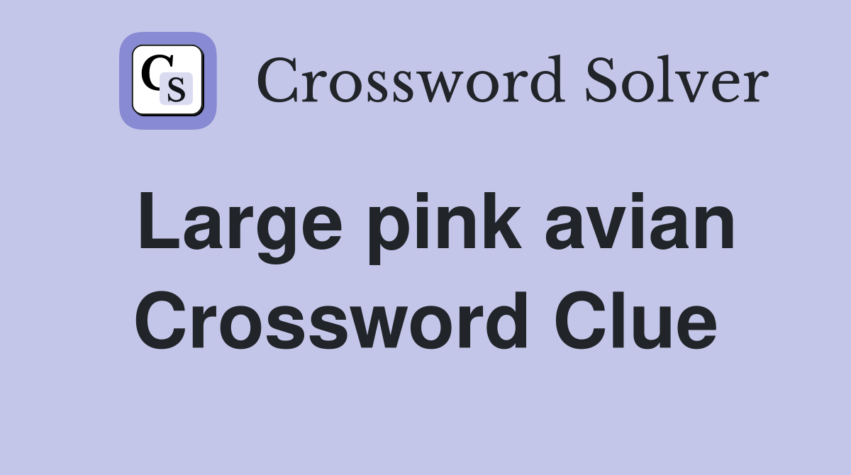 Large pink avian Crossword Clue