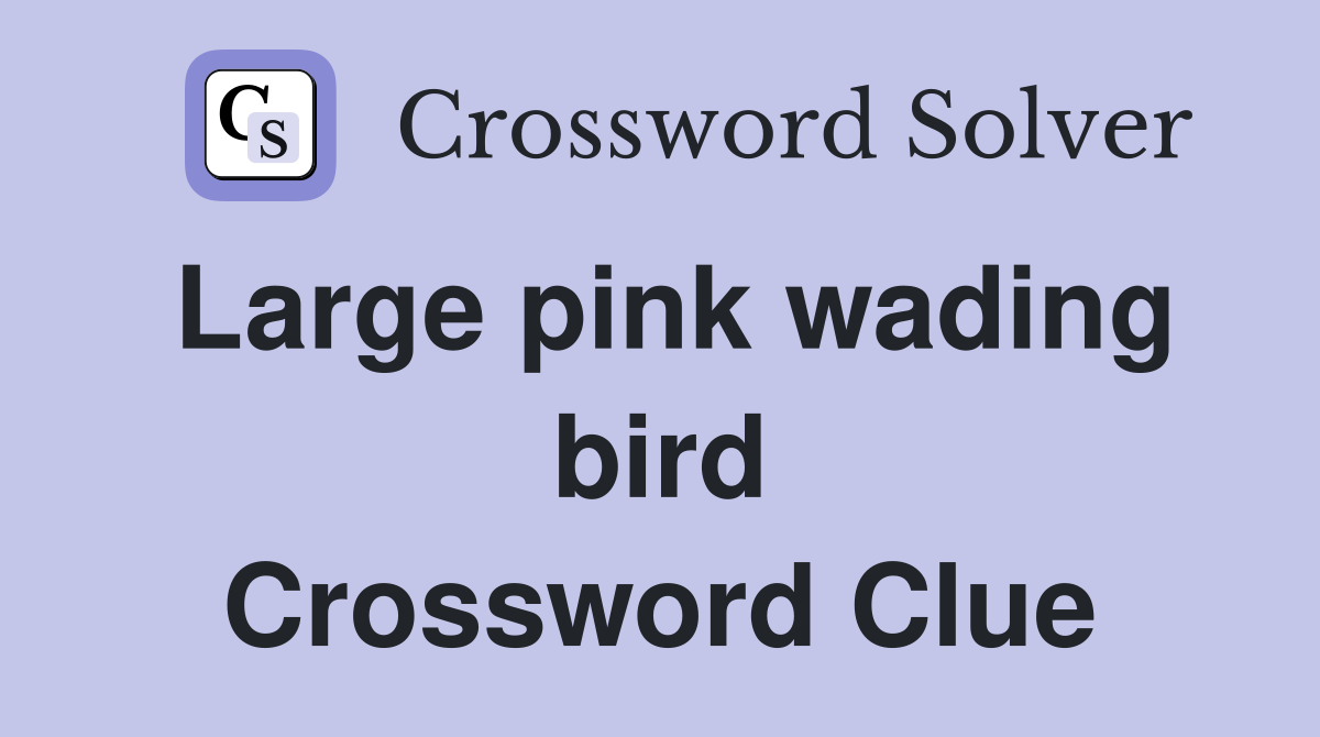 Large pink wading bird Crossword Clue