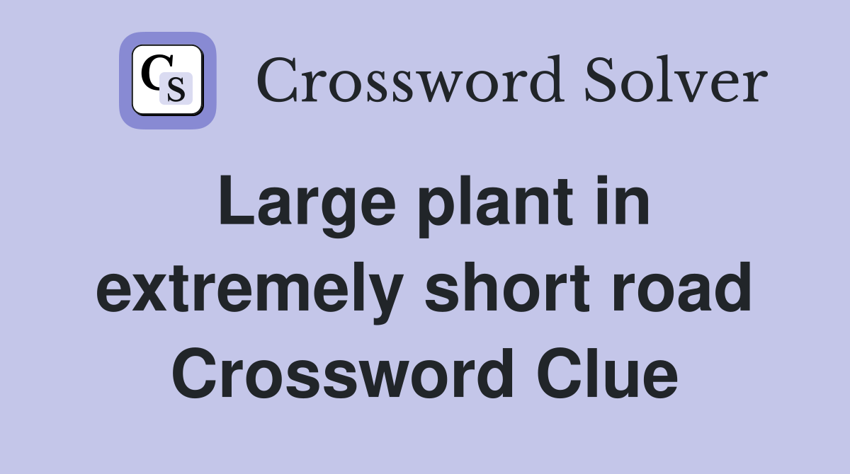 Large plant in extremely short road Crossword Clue