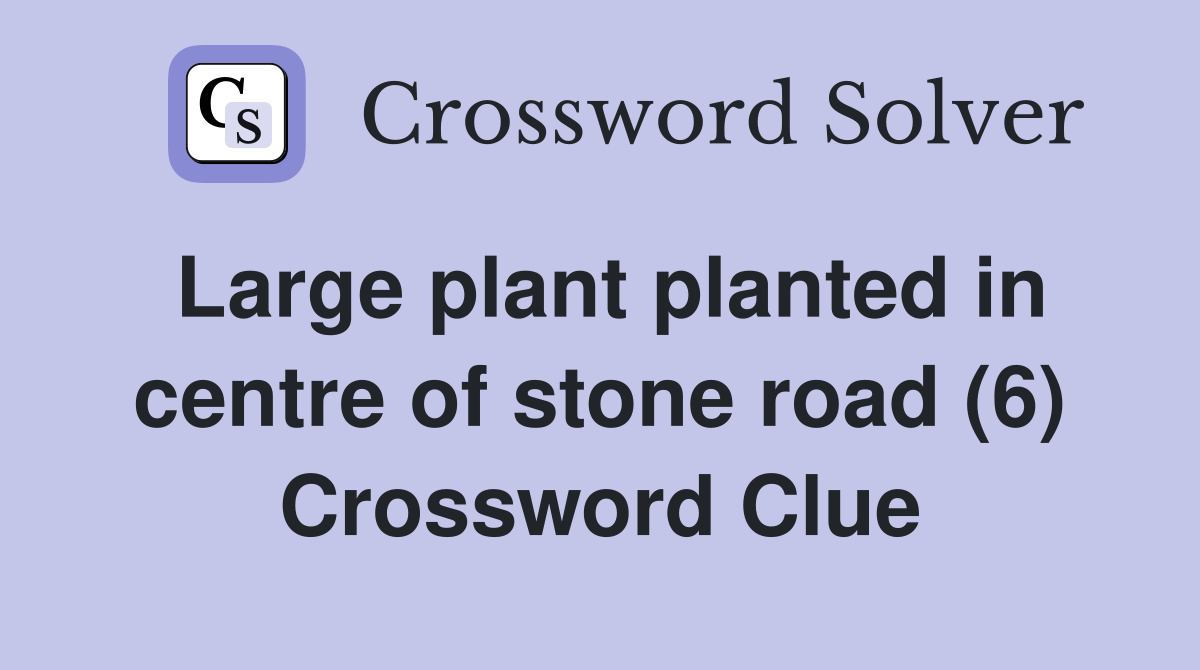 Large plant planted in centre of stone road (6) Crossword Clue