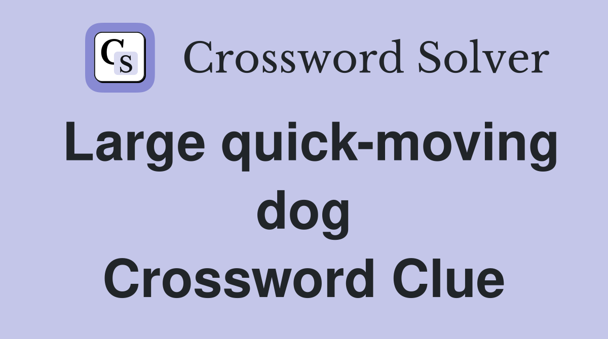 Large quick-moving dog Crossword Clue