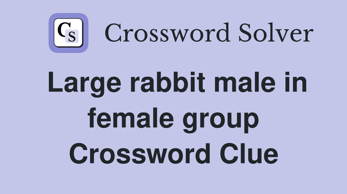 Large rabbit male in female group Crossword Clue