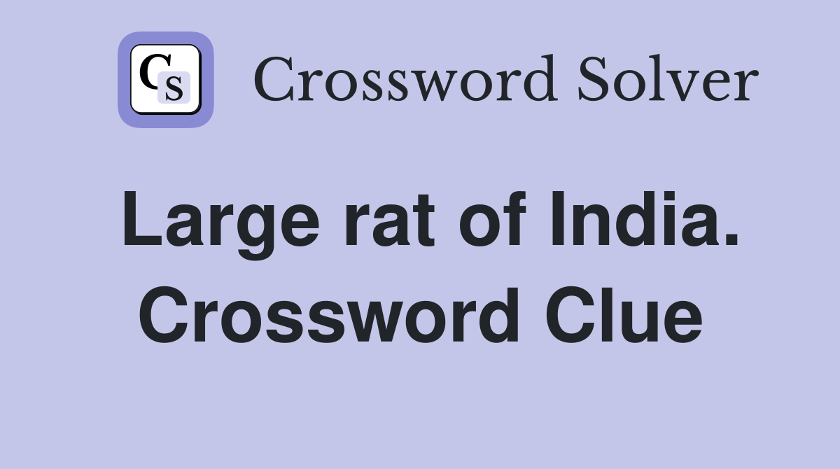Large rat of India. Crossword Clue
