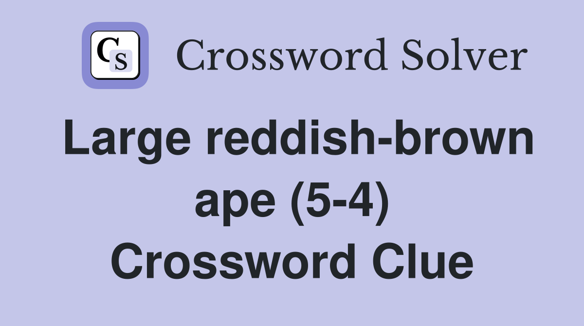 Large reddish-brown ape (5-4) Crossword Clue