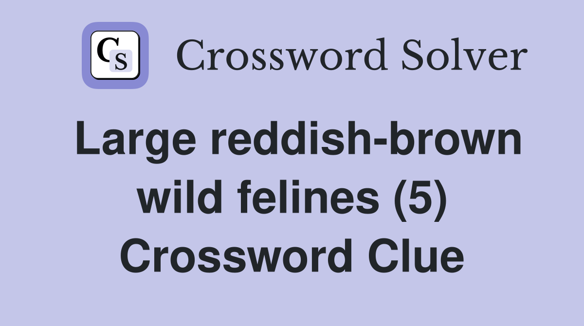 Large reddish-brown wild felines (5) Crossword Clue
