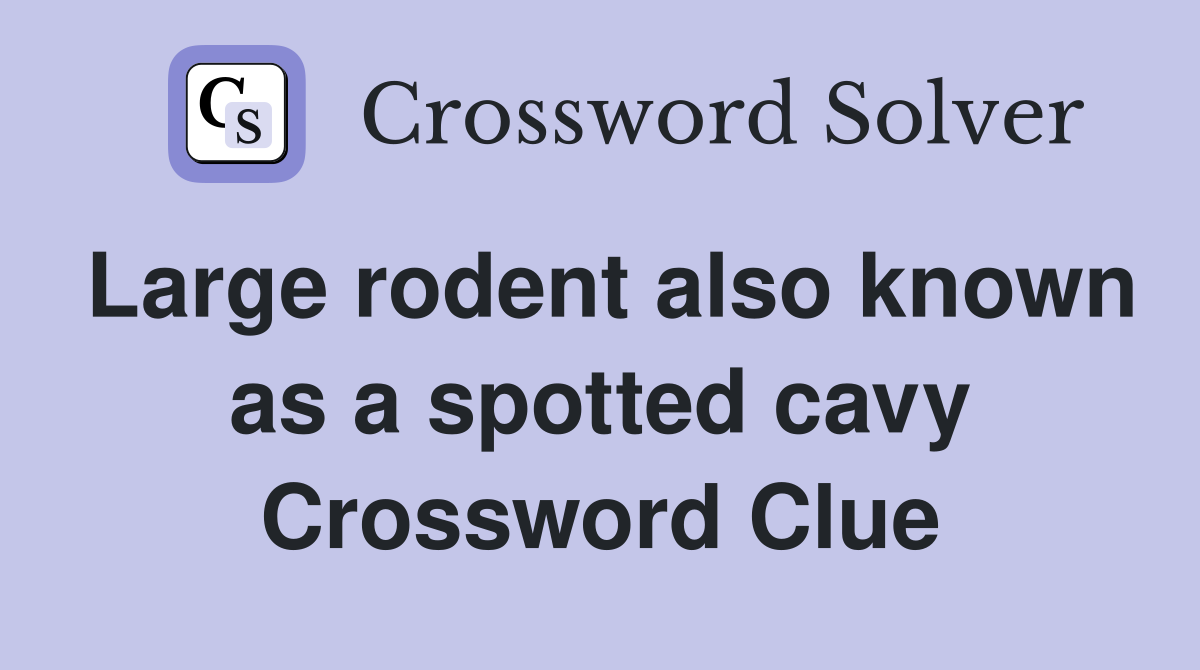 Large rodent also known as a spotted cavy Crossword Clue