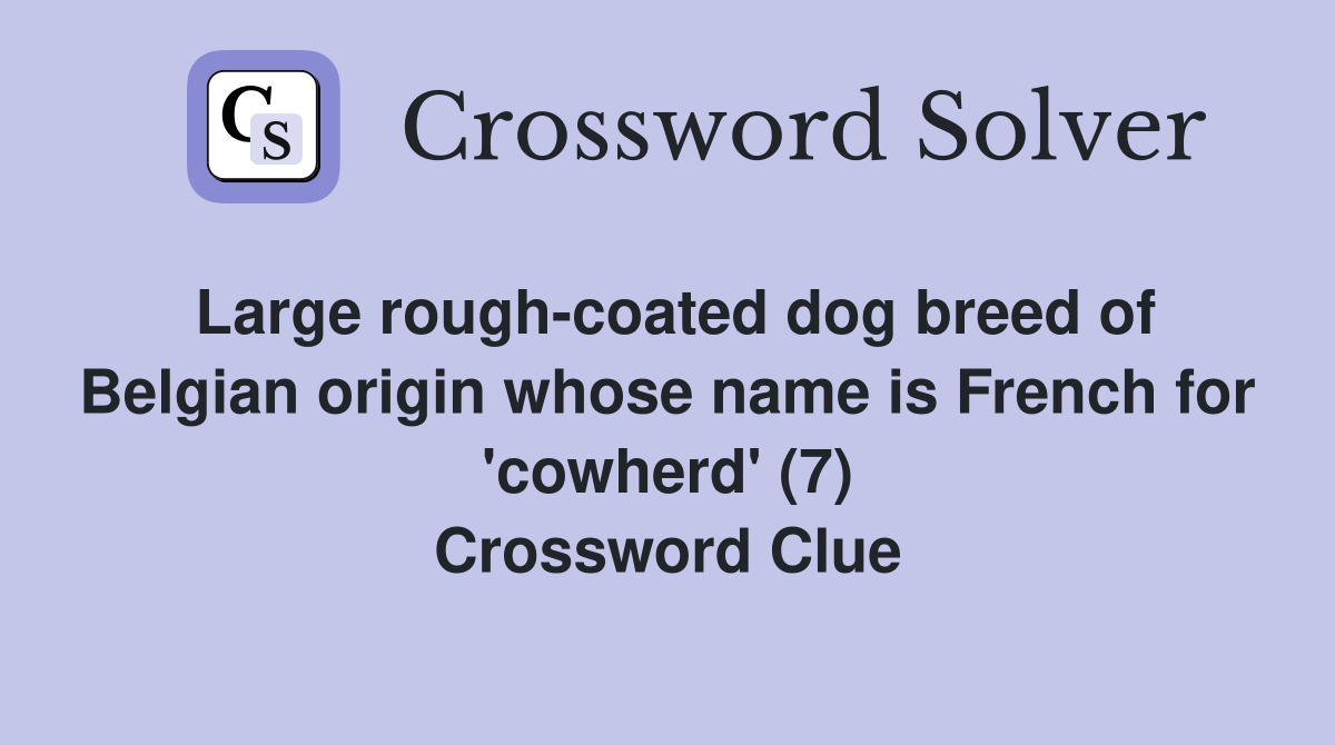 Large rough-coated dog breed of Belgian origin whose name is French for 'cowherd' (7) Crossword Clue