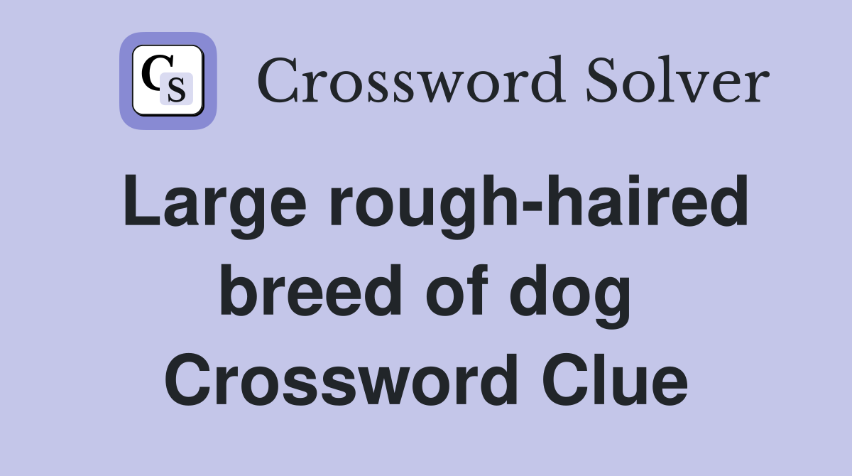 Large rough-haired breed of dog Crossword Clue