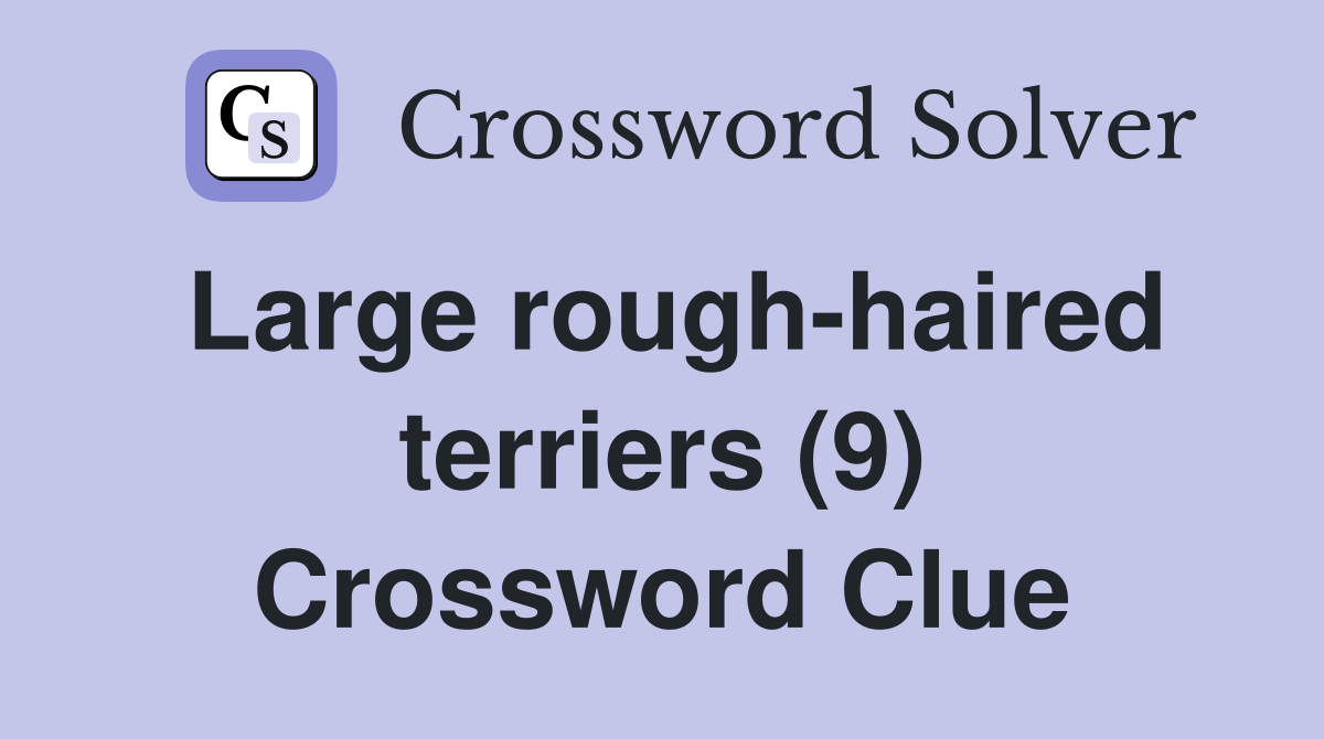 Large rough-haired terriers (9) Crossword Clue