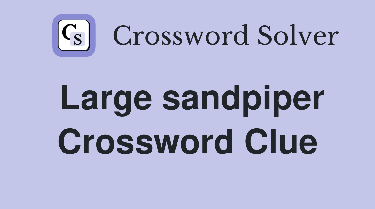 Large sandpiper Crossword Clue