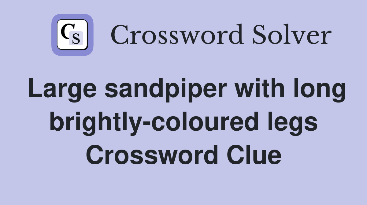 Large sandpiper with long brightly-coloured legs Crossword Clue