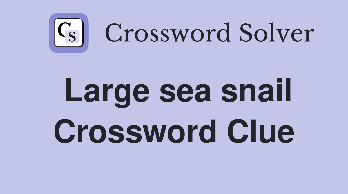 Large sea snail Crossword Clue