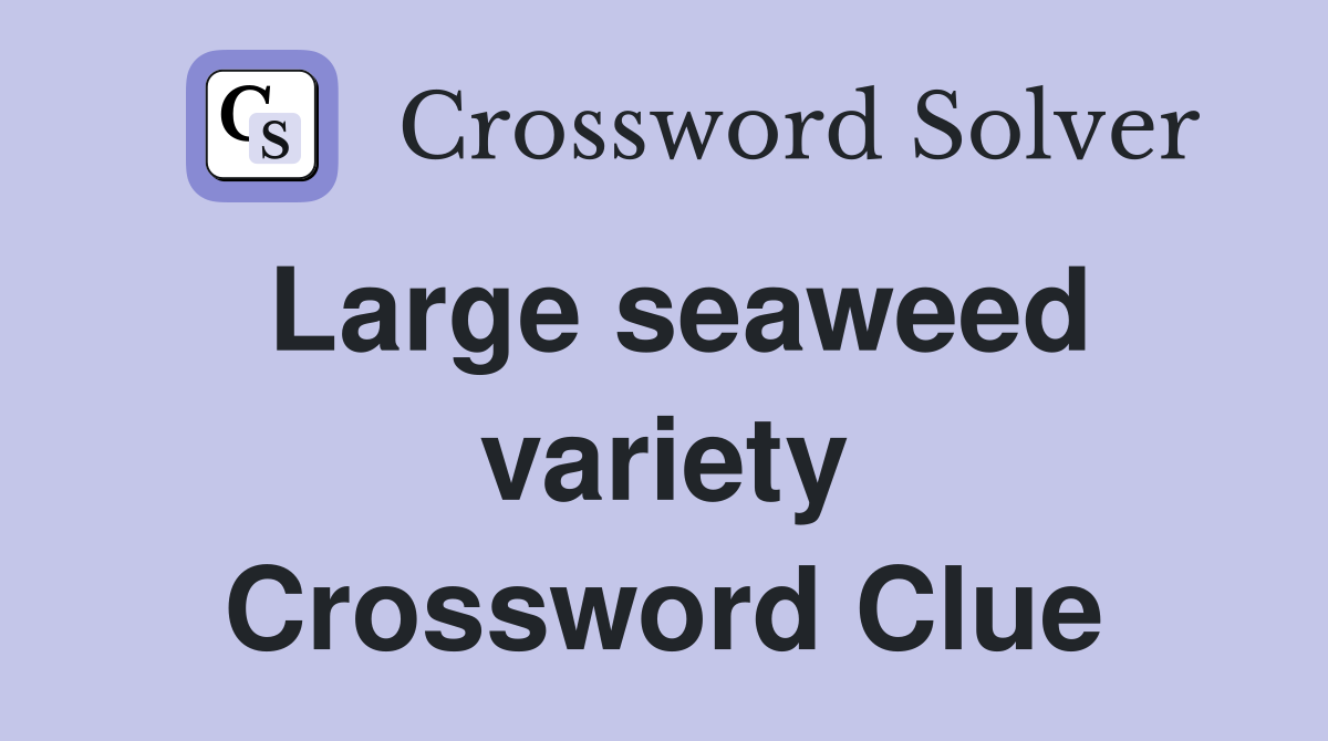 Large seaweed variety Crossword Clue