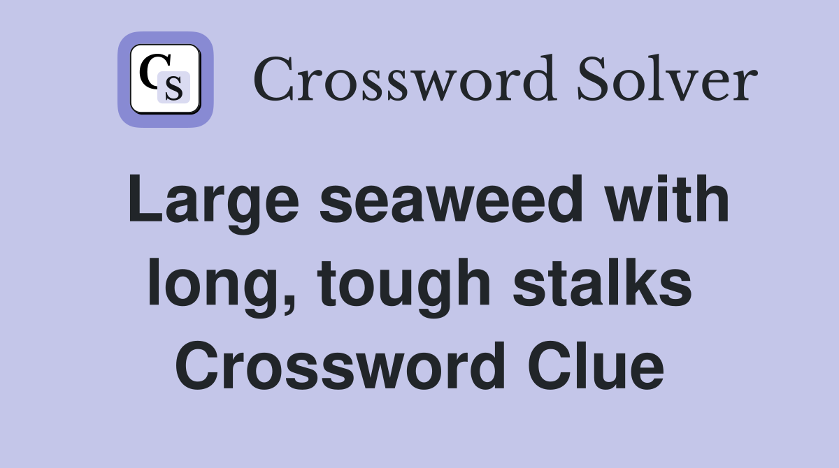 Large seaweed with long, tough stalks Crossword Clue
