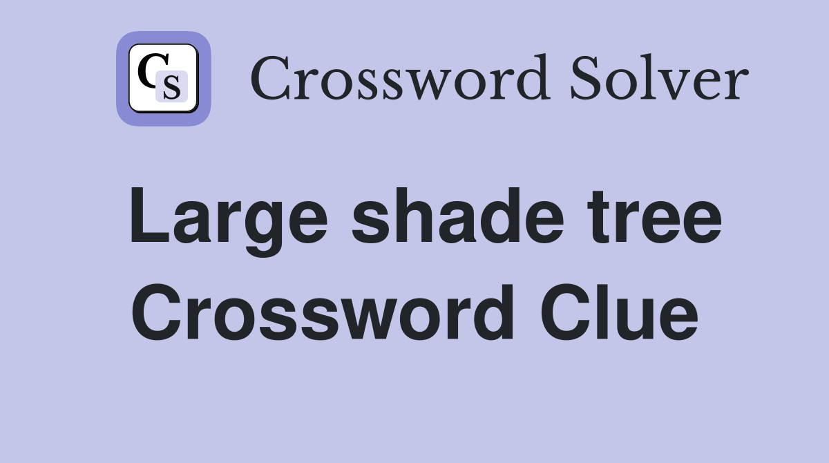 Large shade tree Crossword Clue