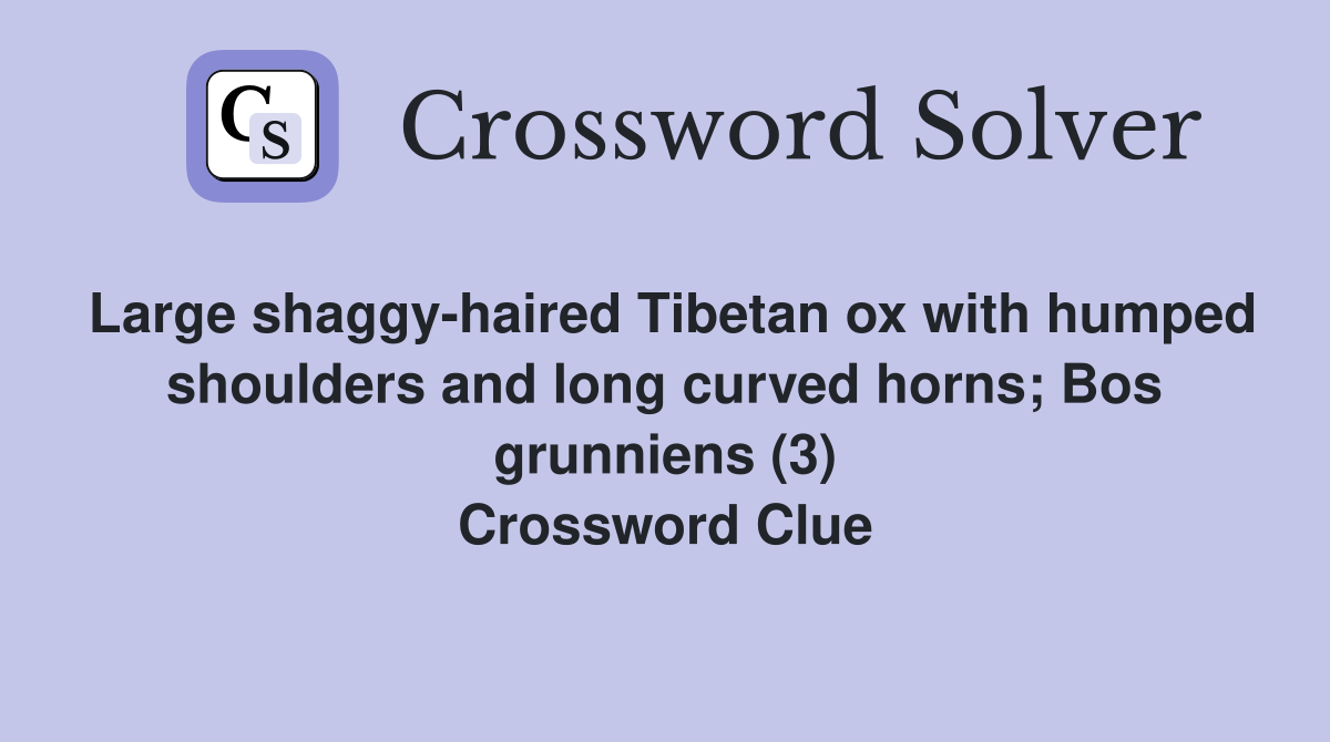 Large shaggy-haired Tibetan ox with humped shoulders and long curved horns; Bos grunniens (3) Crossword Clue