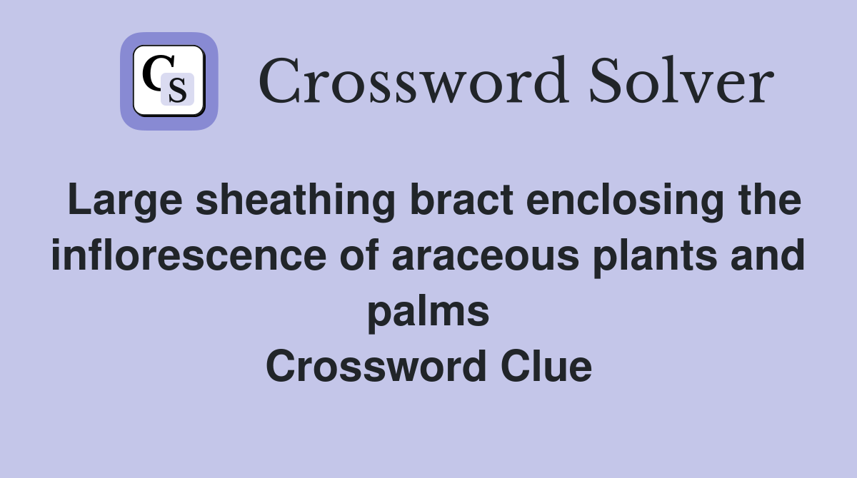 Large sheathing bract enclosing the inflorescence of araceous plants and palms Crossword Clue