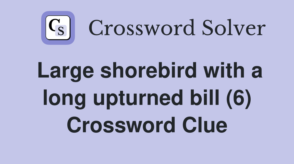 Large shorebird with a long upturned bill (6) Crossword Clue