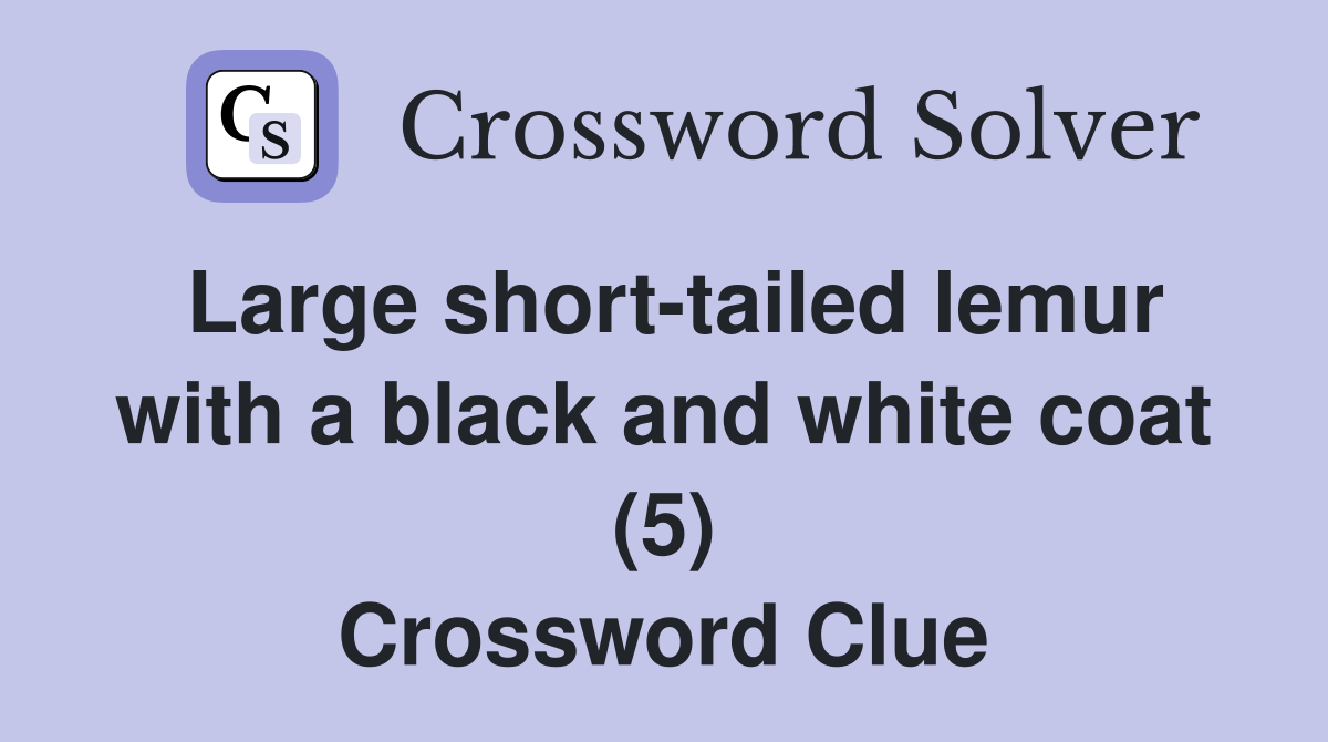 Large short-tailed lemur with a black and white coat (5) Crossword Clue