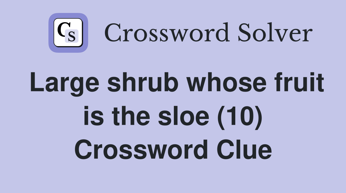 Large shrub whose fruit is the sloe (10) Crossword Clue
