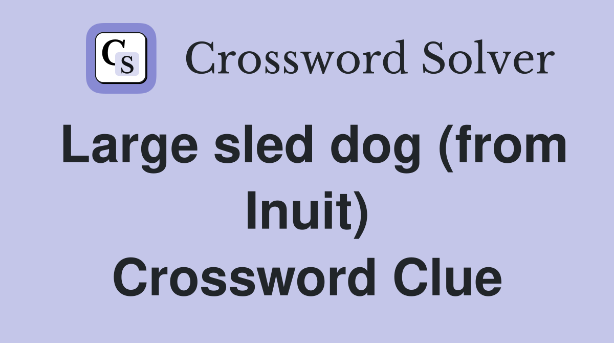 Large sled dog (from Inuit) Crossword Clue