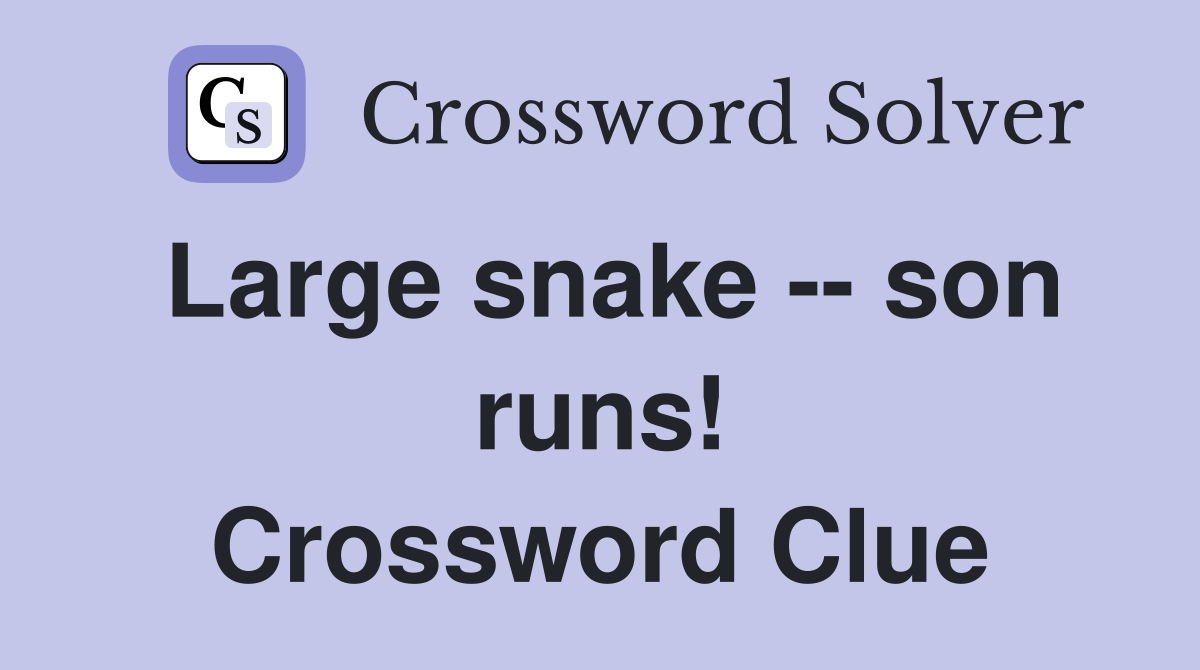 Large snake -- son runs! Crossword Clue