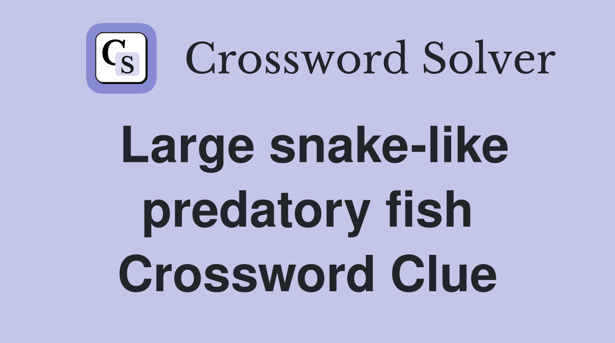 Large snake-like predatory fish Crossword Clue