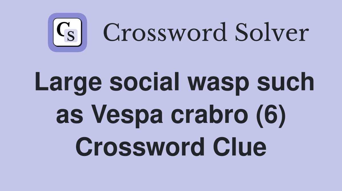 Large social wasp such as Vespa crabro (6) Crossword Clue