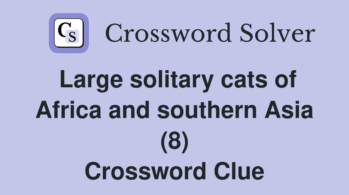 Large solitary cats of Africa and southern Asia (8) Crossword Clue