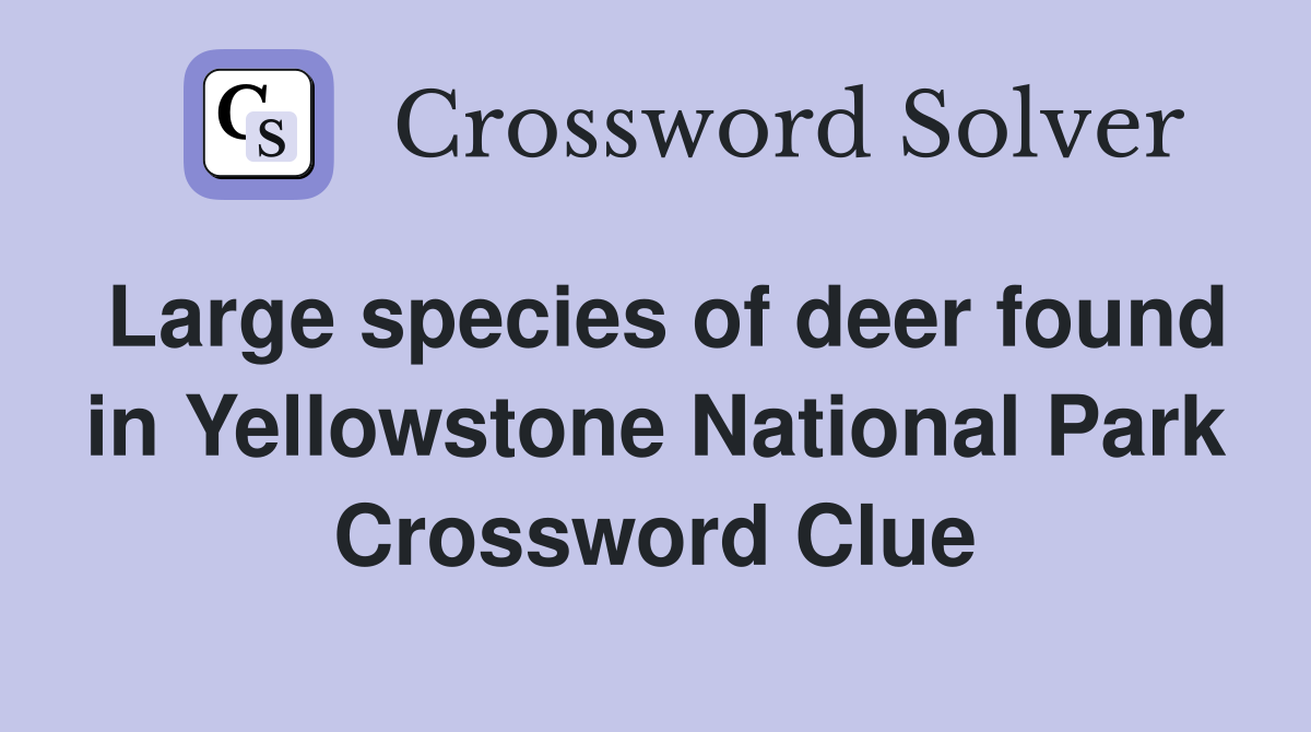 Large species of deer found in Yellowstone National Park Crossword Clue