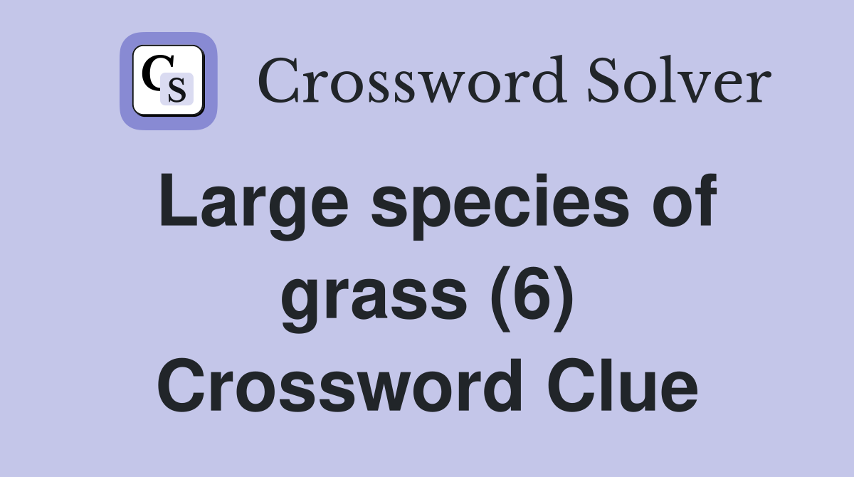 Large species of grass (6) Crossword Clue