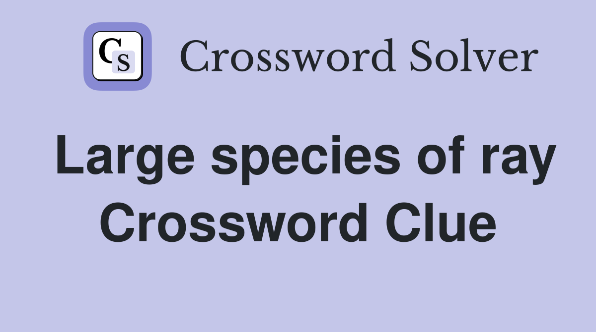 Large species of ray Crossword Clue