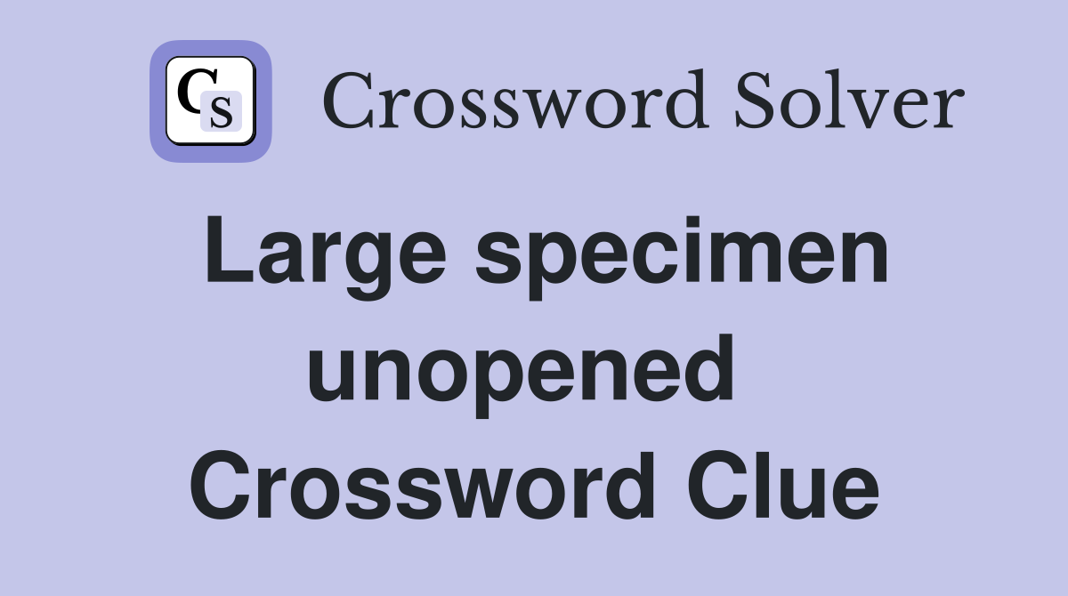 Large specimen unopened  Crossword Clue